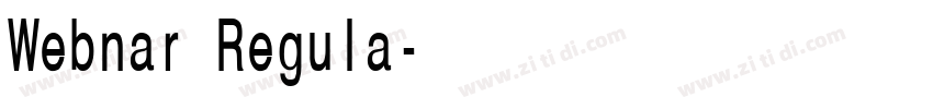 Webnar Regula字体转换